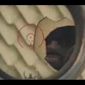 Meet your Posher, Cole